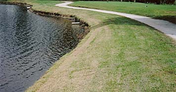 Florida shoreline restoration